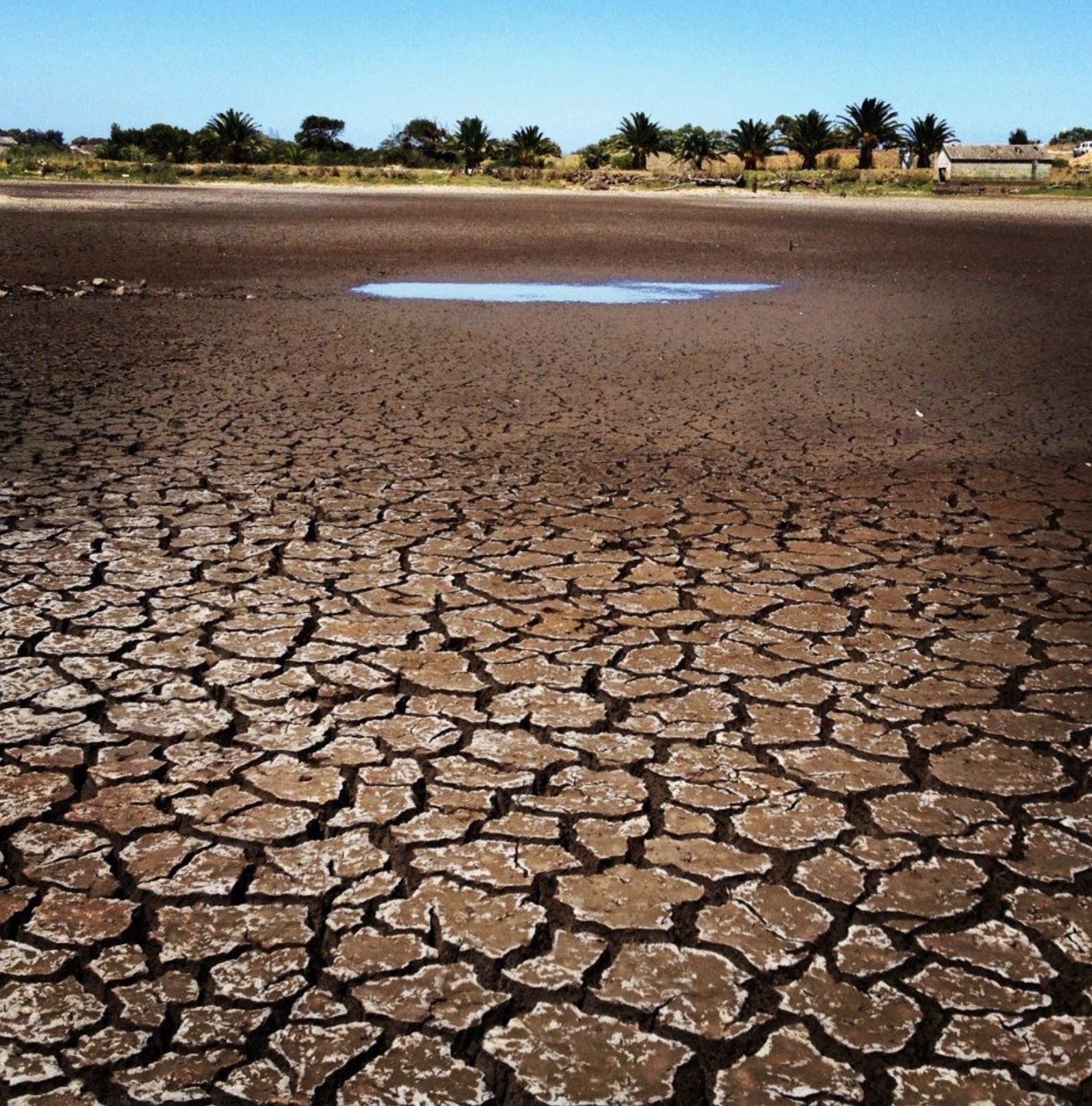 Drought-cracked farm land 